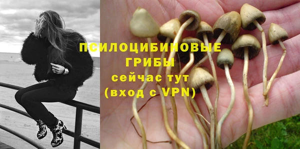 хмурый Балахна