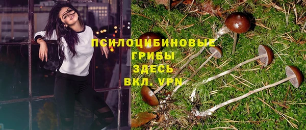 тгк Баксан